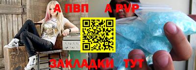 кокс Донской