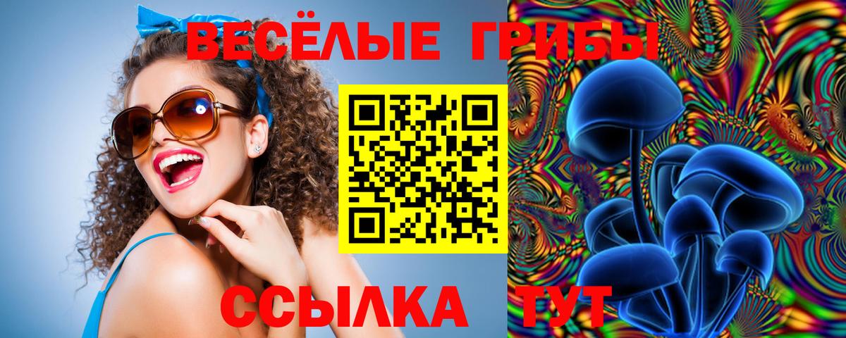 где купить наркоту  Вход с VPN  Михайловка  Псилоцибиновые грибы прущие грибы 