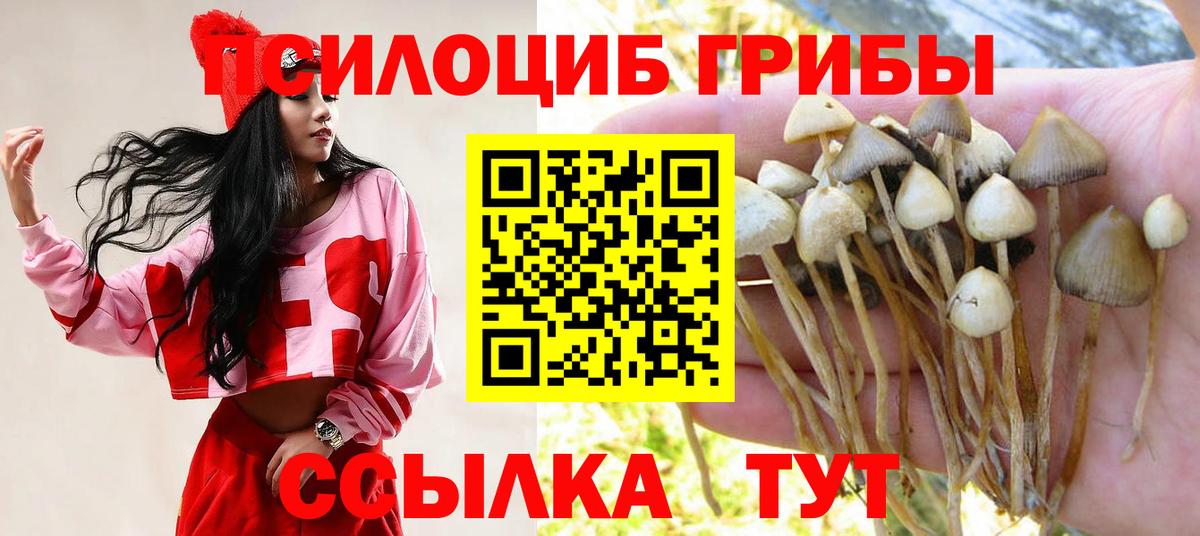 Псилоцибиновые грибы ЛСД Михайловка